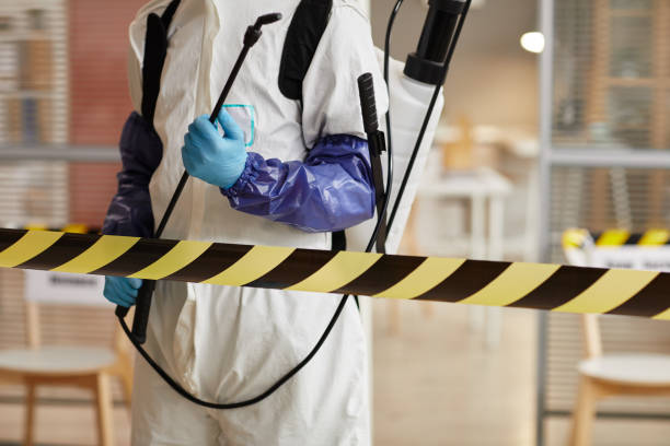 Professional Sewage Cleanup technician working in Springfield, NH