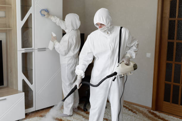 24/7 Emergency Sewage Cleanup experts in Springfield, NH