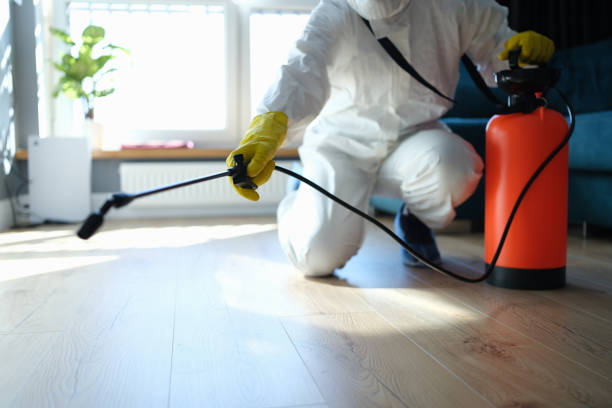 Reliable Sewage Cleanup contractor in Springfield, NH by Trauma Clean Pros
